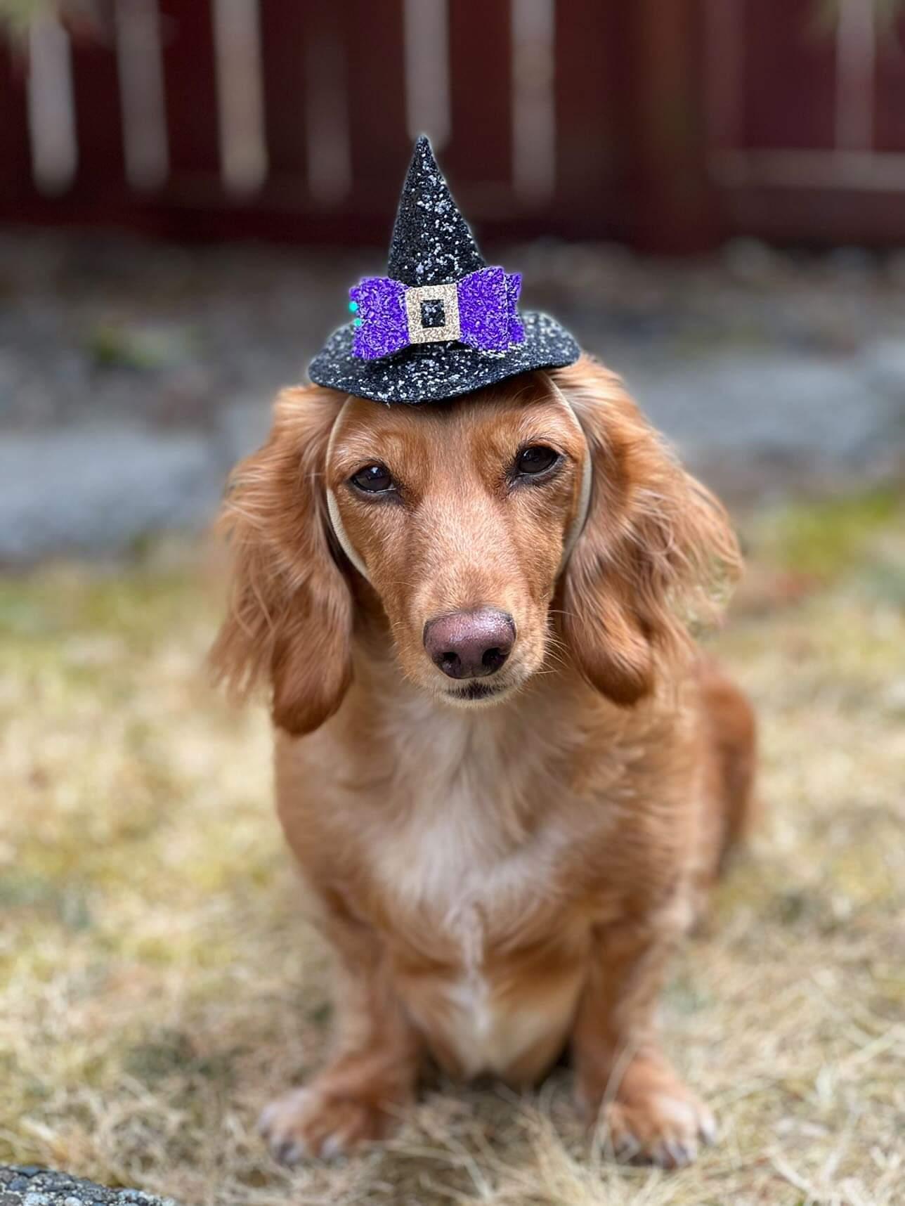 Glitter Witch Hat