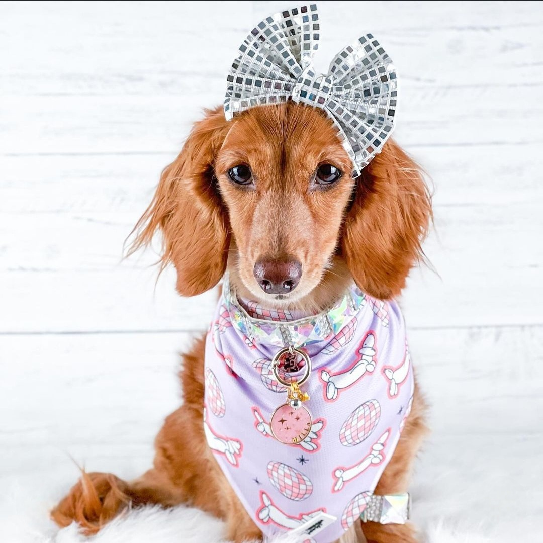 Disco Bows