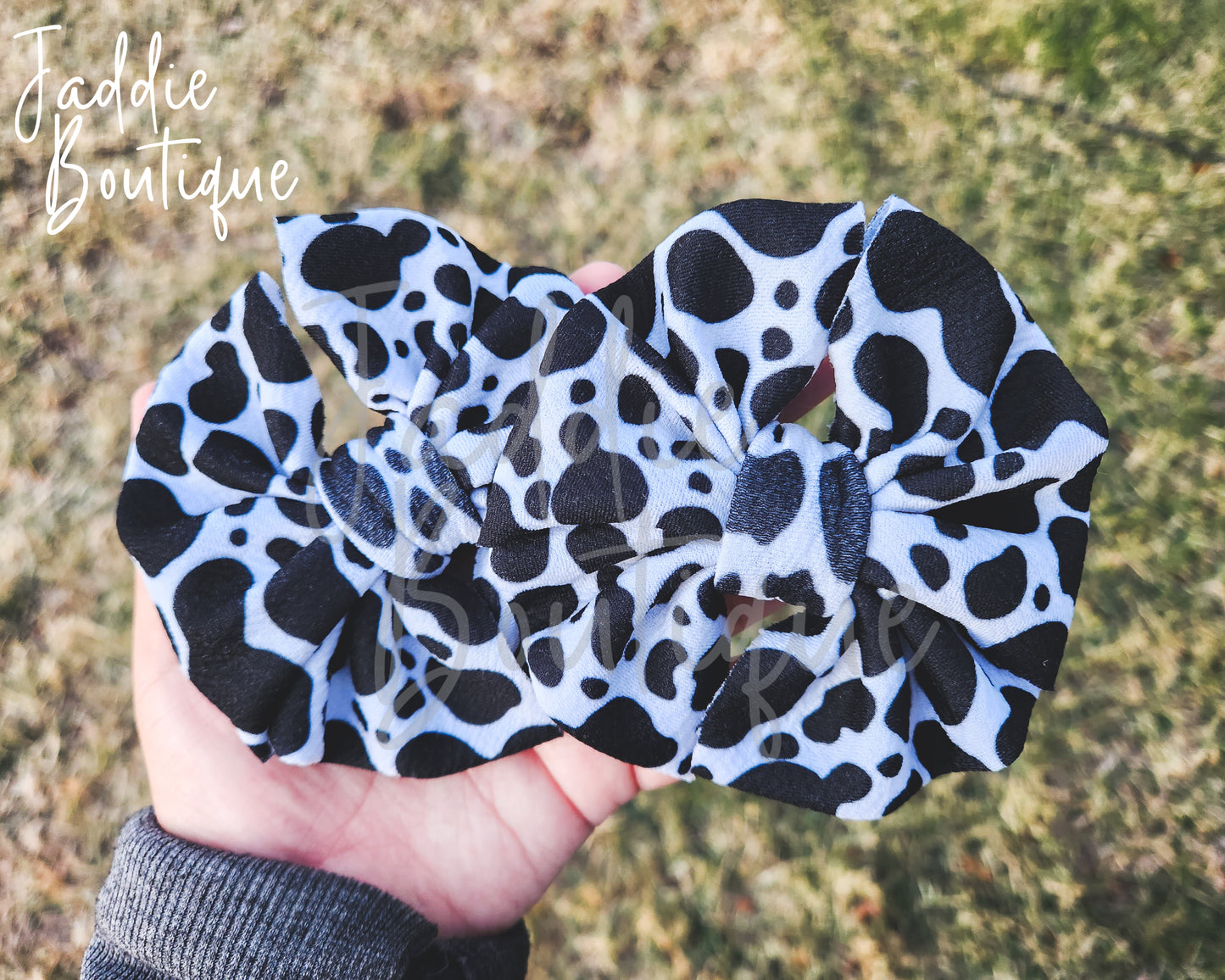 Black & White Cow