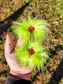 RTS Gr♡nch Fur Bows