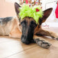 RTS Gr♡nch Fur Bows